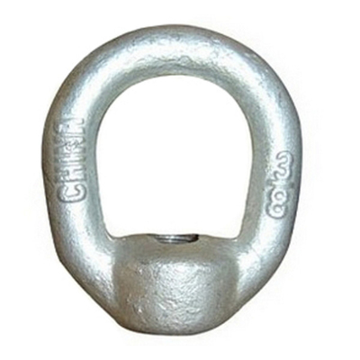 เหล็กคาร์บอนเคลือบสังกะสีแบบจุ่มร้อน Crosby G 400 Eye Nut